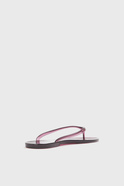 WINE COLOR