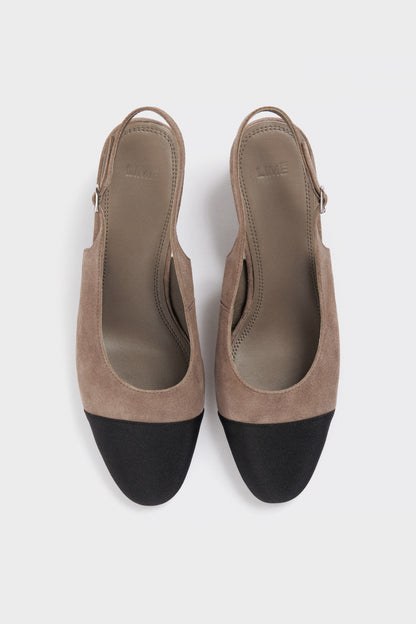 GRAY BROWN